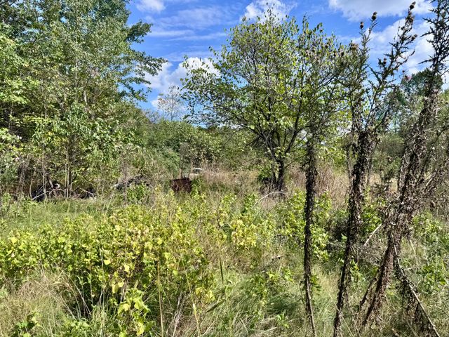 3500 Highway A, Mansfield, MO 65704