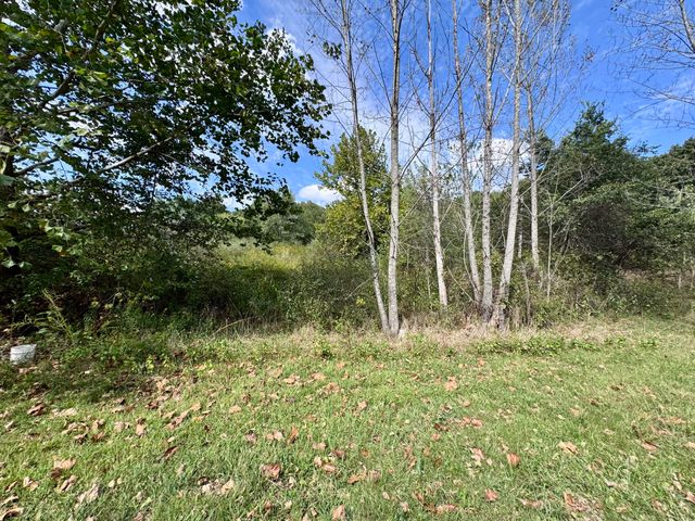 3500 Highway A, Mansfield, MO 65704