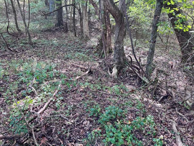 3500 Highway A, Mansfield, MO 65704