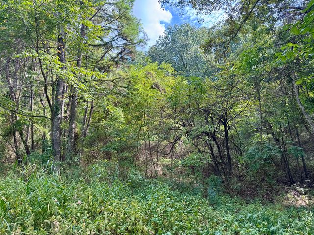 3500 Highway A, Mansfield, MO 65704