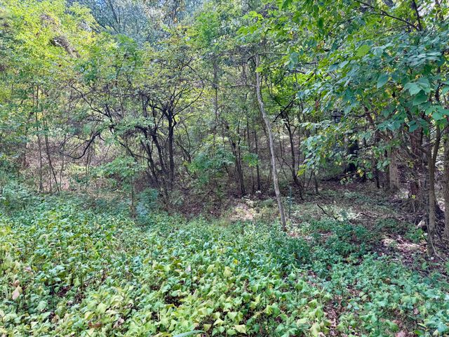 3500 Highway A, Mansfield, MO 65704