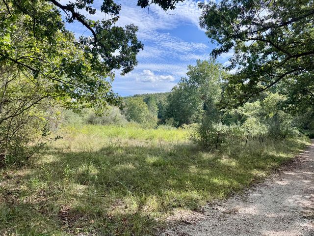 3500 Highway A, Mansfield, MO 65704