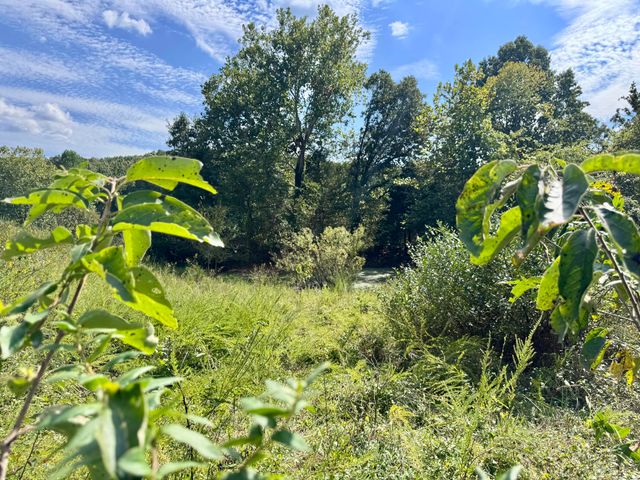 3500 Highway A, Mansfield, MO 65704