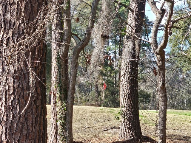 568 Pointe Of Oaks Road, Summerville, SC 29485