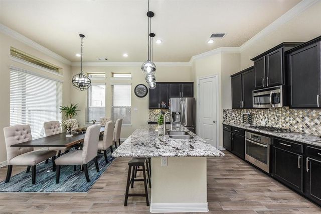 13209 Dartmoor Terrace Drive, Houston, TX 77077