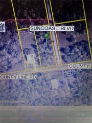 0 COUNTY LINE ROAD, Spring Hill, FL 34608