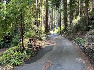 141 Leafwood Drive, Boulder Creek, CA 95006
