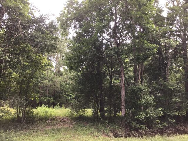 304 N Hwy 321 Highway, Dayton, TX 77535
