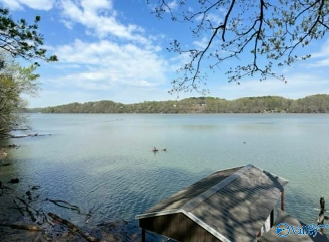 18531 Bream Bluff Drive, Athens, AL 35611