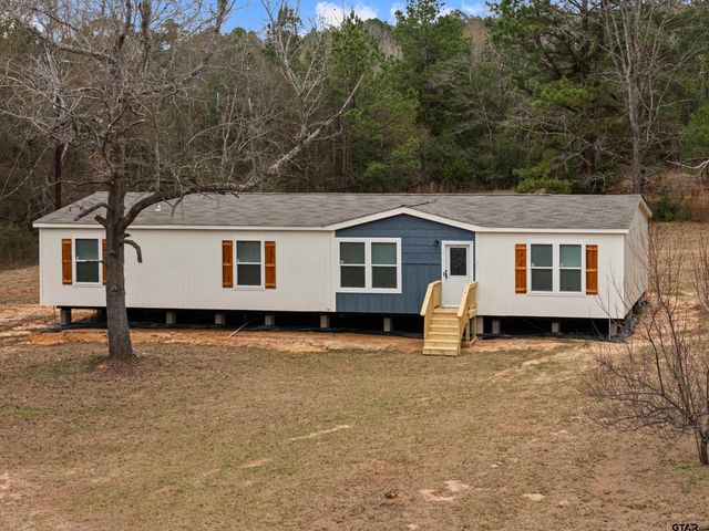 15317 S FM 95, Mt Enterprise, TX 75681