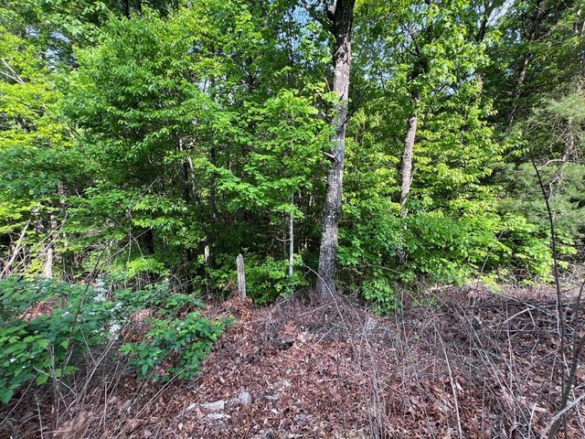 Lot 1 Weece Mountain, Murphy, NC 28906