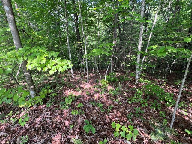 Lot 1 Weece Mountain, Murphy, NC 28906
