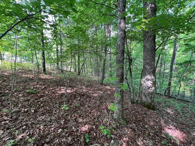 Lot 1 Weece Mountain, Murphy, NC 28906