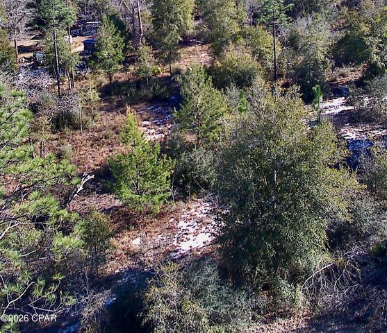 00 Western Road, Fountain, FL 32438