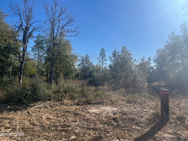 00 Western Road, Fountain, FL 32438