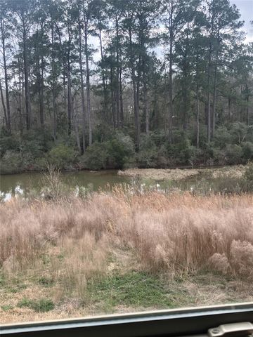 10669 N Lake Road, Montgomery, TX 77316