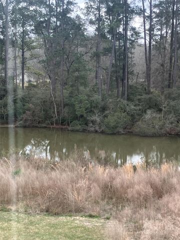 10669 N Lake Road, Montgomery, TX 77316