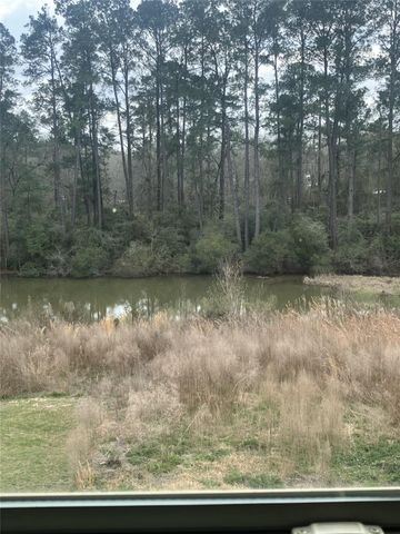 10669 N Lake Road, Montgomery, TX 77316