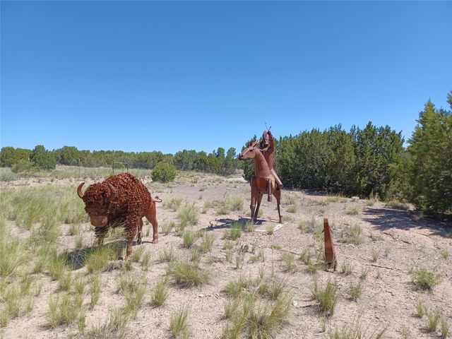 64 Coyote Trail, Santa Fe, NM 87508