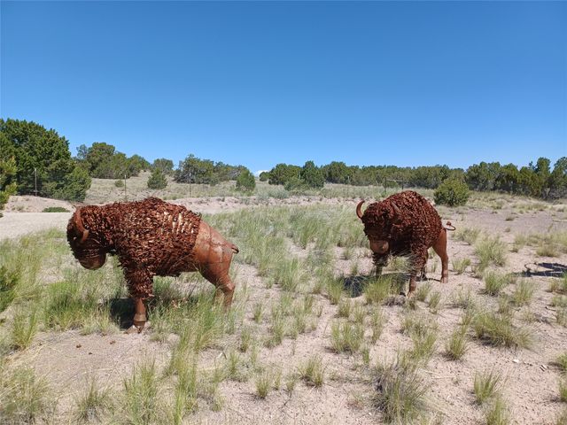 64 Coyote Trail, Santa Fe, NM 87508