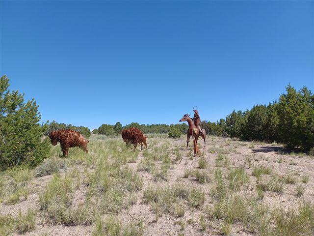 64 Coyote Trail, Santa Fe, NM 87508