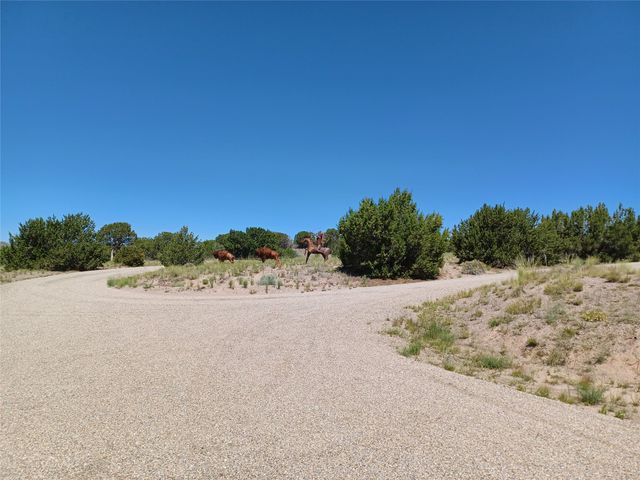 64 Coyote Trail, Santa Fe, NM 87508