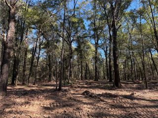 0 Danner Road, Wilmer, AL 36587