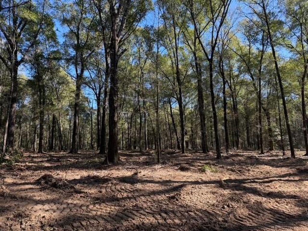 0 Danner Road, Wilmer, AL 36587 — photo 2