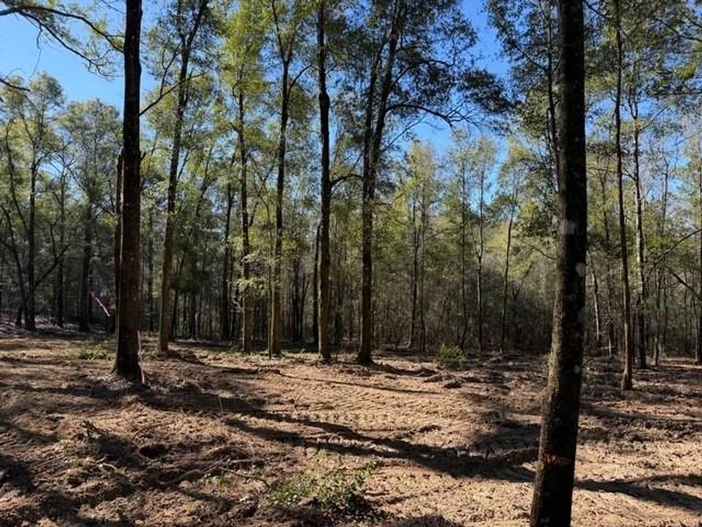 0 Danner Road, Wilmer, AL 36587 — photo 3