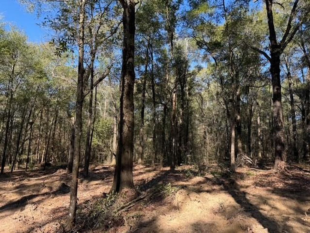 0 Danner Road, Wilmer, AL 36587 — photo 4