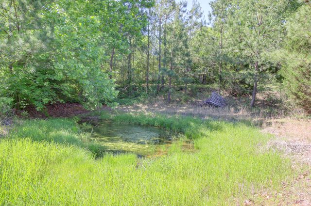 4507 Highway 48, Cumberland Furnace, TN 37051