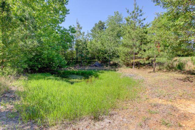4507 Highway 48, Cumberland Furnace, TN 37051