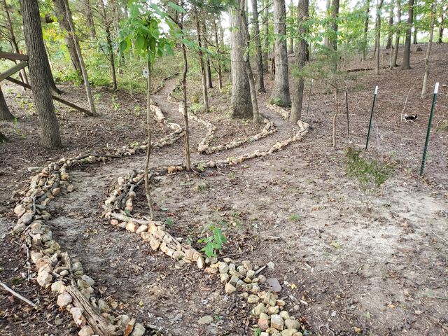 4507 Highway 48, Cumberland Furnace, TN 37051