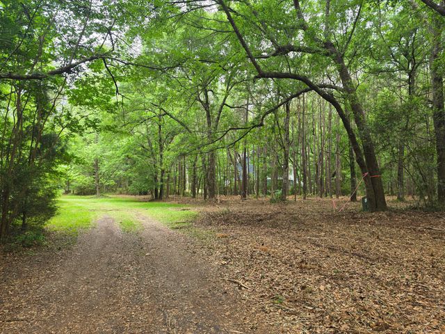 248 Warren Drive, Mcclellanville, SC 29458