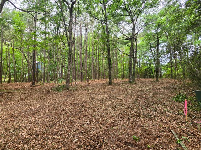 248 Warren Drive, Mcclellanville, SC 29458