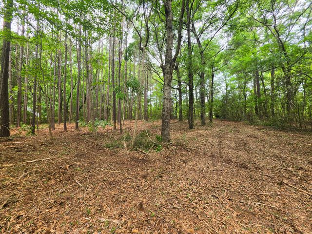 248 Warren Drive, Mcclellanville, SC 29458