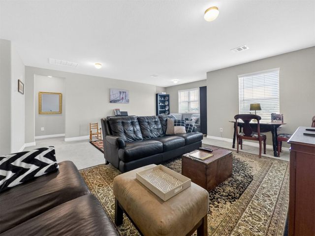 17123 Bainham Forest Trail, Hockley, TX 77447