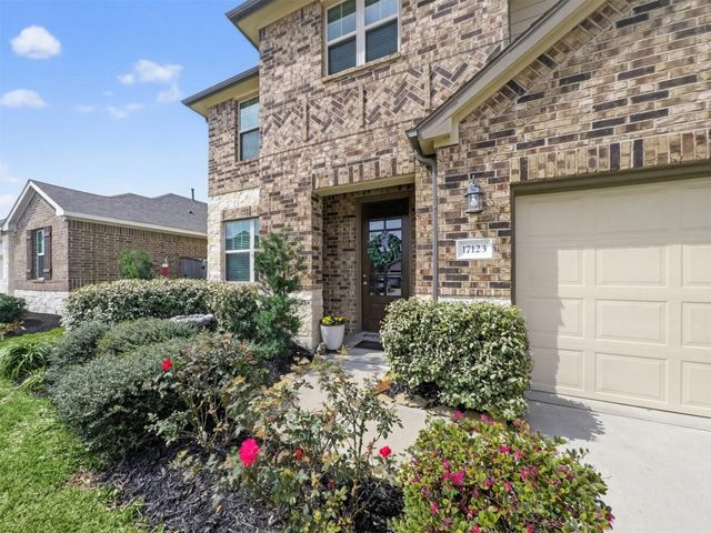 17123 Bainham Forest Trail, Hockley, TX 77447