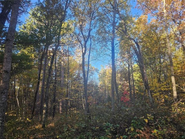 1894 S Lost Lake Road, Danbury, WI 54830