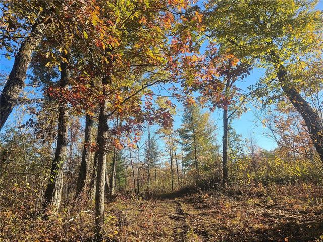 1894 S Lost Lake Road, Danbury, WI 54830