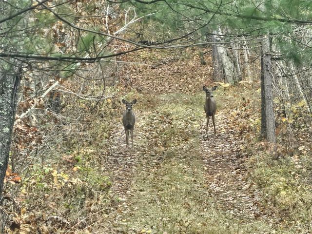 1894 S Lost Lake Road, Danbury, WI 54830