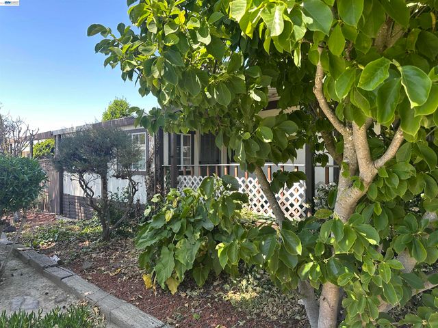 390 Tropicana WY, Union City, CA 94587