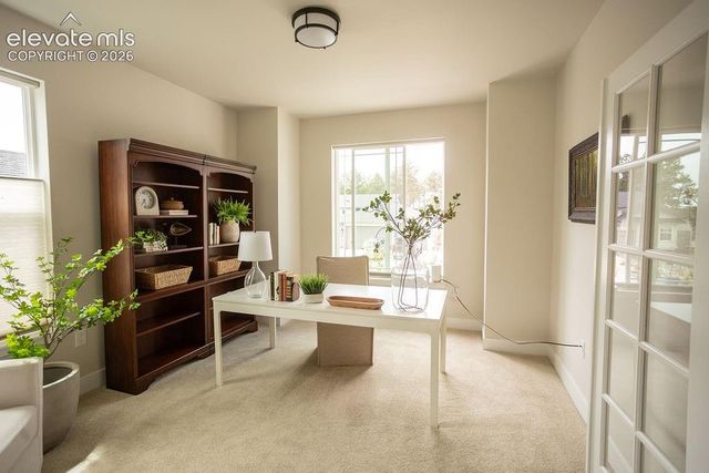 16325 Treetop Glory Court, Monument, CO 80132
