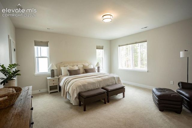 16325 Treetop Glory Court, Monument, CO 80132
