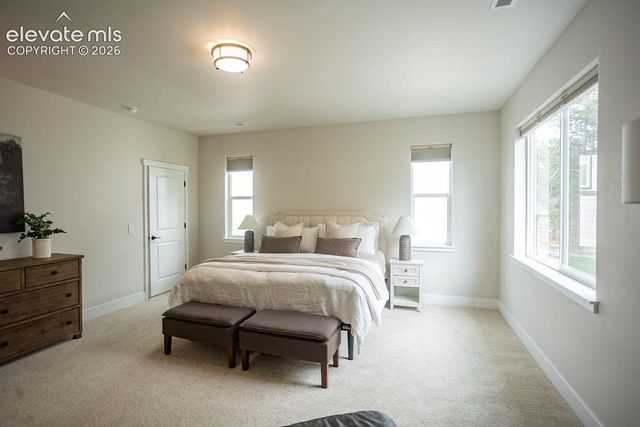 16325 Treetop Glory Court, Monument, CO 80132
