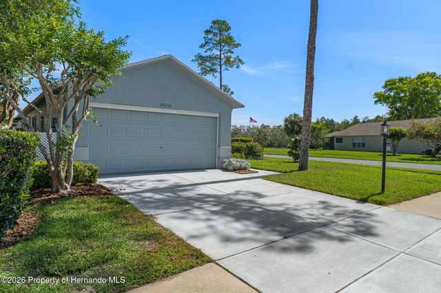 18236 Webster Grove Drive, Hudson, FL 34667