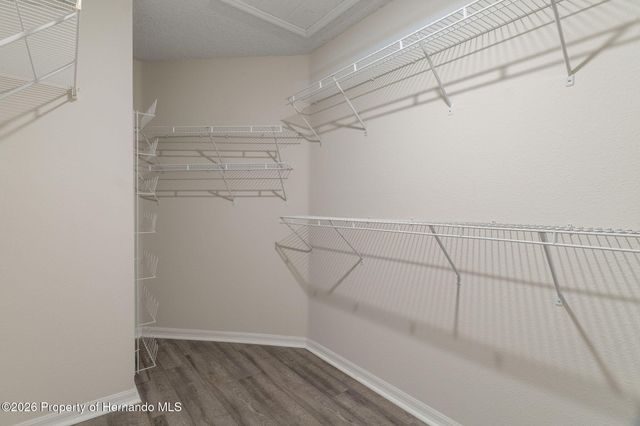 18236 Webster Grove Drive, Hudson, FL 34667