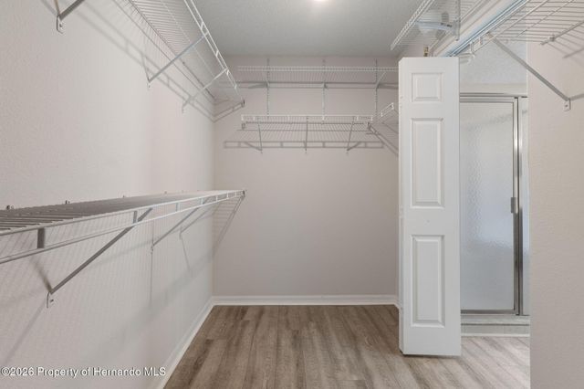 18236 Webster Grove Drive, Hudson, FL 34667