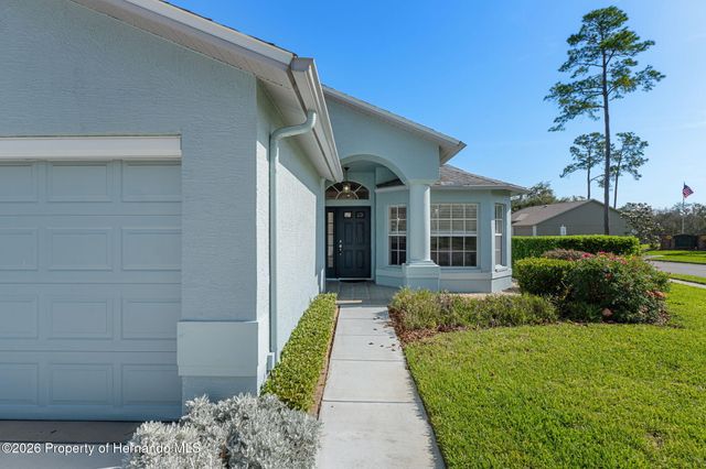 18236 Webster Grove Drive, Hudson, FL 34667