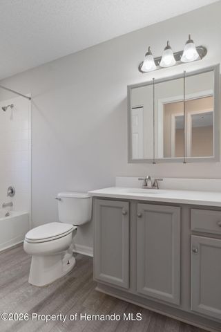 18236 Webster Grove Drive, Hudson, FL 34667